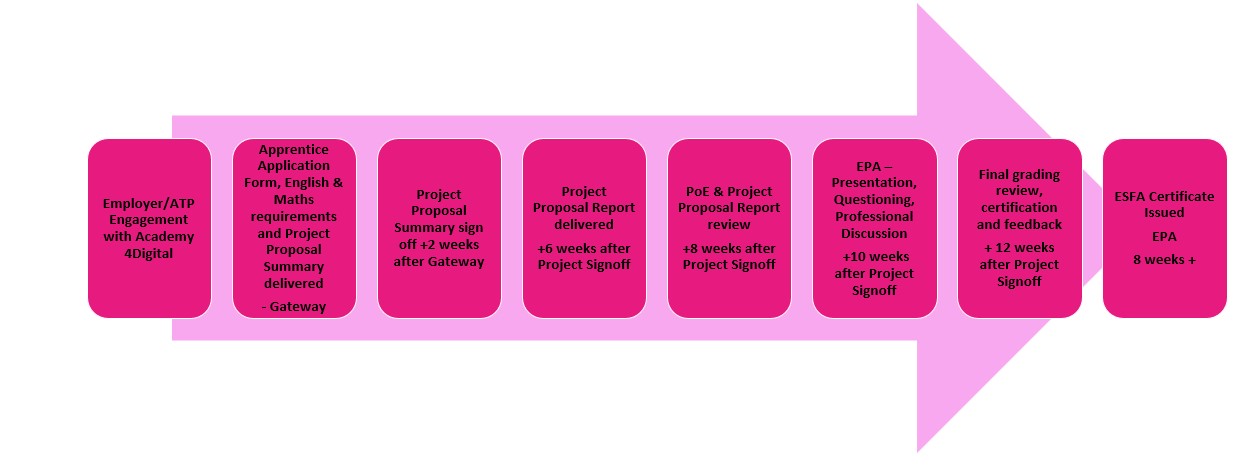 End Point Assessment Detailed Process