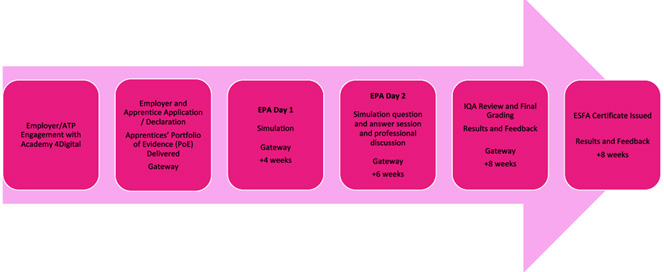 End Point Assessment Detailed Process